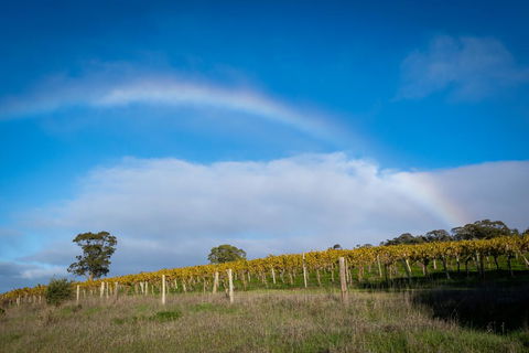 Triple Creek Guest House - Barossa Region - Accommodation Cairns 2