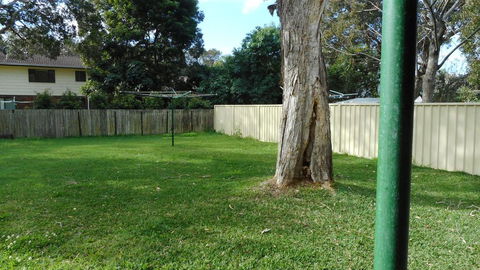 Villa Davoll At Hat Head (Pet Friendly) - Accommodation Cairns 1