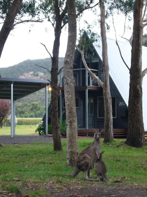 The A-Frame - Accommodation Cairns 1