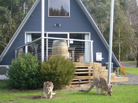 The A-Frame - Accommodation Cairns 10