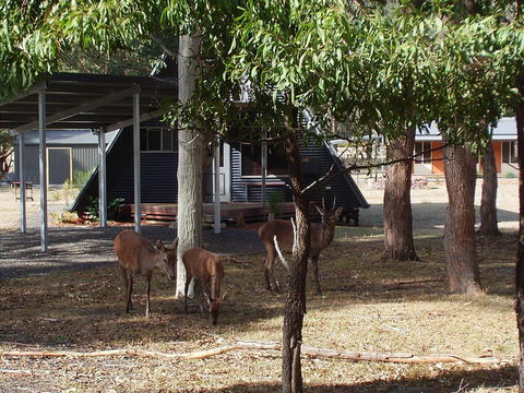 The A-Frame - Accommodation Cairns 13