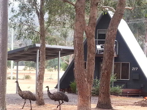 The A-Frame - Accommodation Cairns 9