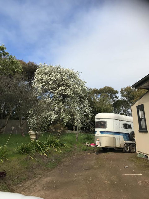 Hillâ€™s Creek Holiday Home - Accommodation Cairns 6