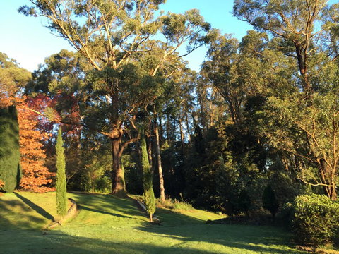 The Dan - Accommodation Cairns 23