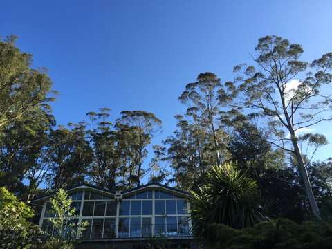 The Dan - Accommodation Cairns 17