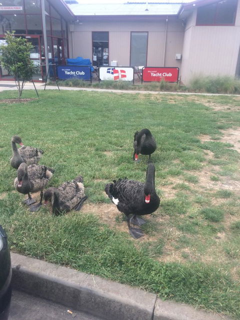 Ambassador Motor Inn - Accommodation Cairns 29