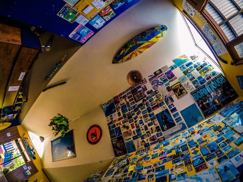 Cool Bananas Backpackers - Accommodation Cairns 29