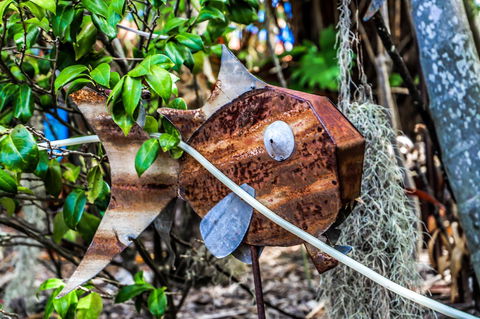 Cool Bananas Backpackers - Accommodation Cairns 24