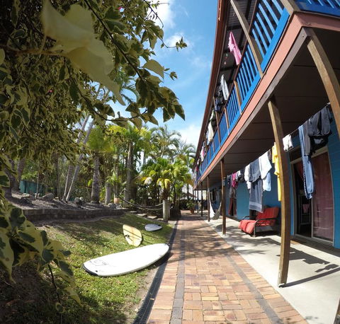 Cool Bananas Backpackers - Accommodation Cairns 2