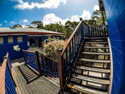 Cool Bananas Backpackers - Accommodation Cairns 27