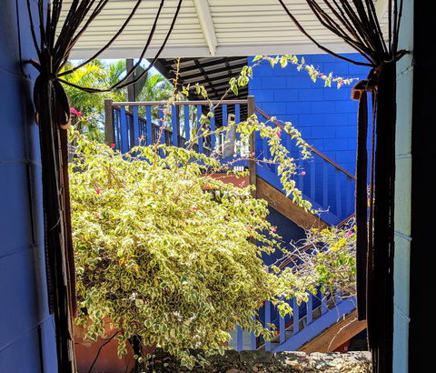 Cool Bananas Backpackers - Accommodation Cairns 10