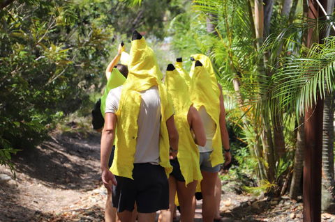 Cool Bananas Backpackers - Accommodation Cairns 19