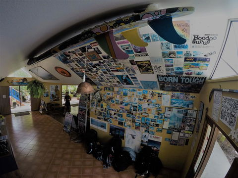 Cool Bananas Backpackers - Accommodation Cairns 31