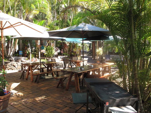 Cool Bananas Backpackers - Accommodation Cairns 16