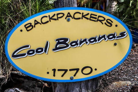 Cool Bananas Backpackers - Accommodation Cairns 38
