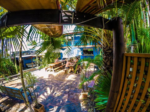 Cool Bananas Backpackers - Accommodation Cairns 0