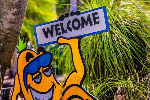 Cool Bananas Backpackers - Accommodation Cairns 37