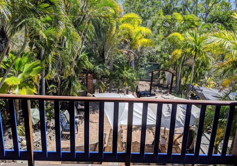 Cool Bananas Backpackers - Accommodation Cairns 4