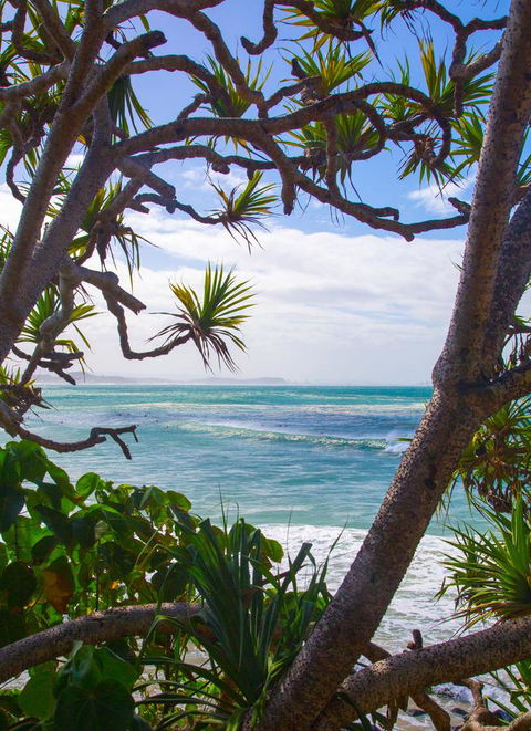 Rainbow Bay Backpackers - Accommodation Cairns 26