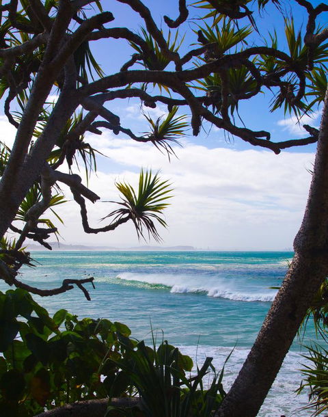 Rainbow Bay Backpackers - Accommodation Cairns 25