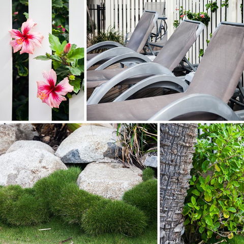 Coolum Caprice - Accommodation Cairns 22