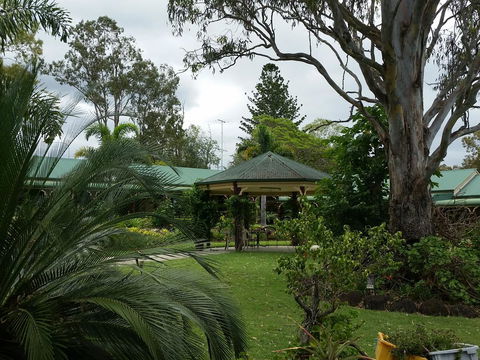 The Bearded Dragon Boutique Hotel - Accommodation Cairns 28