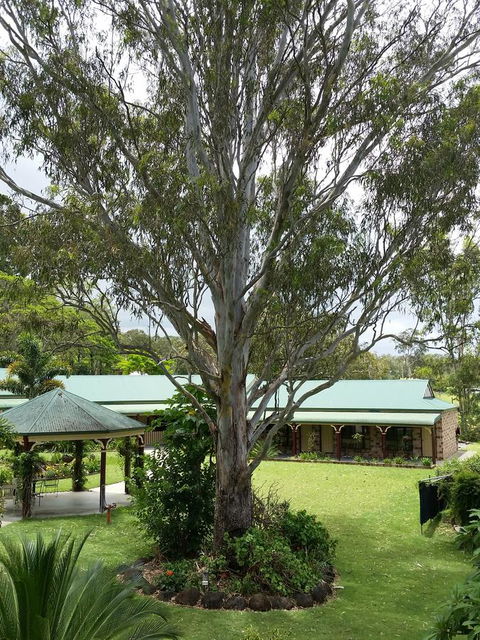 The Bearded Dragon Boutique Hotel - Accommodation Cairns 32