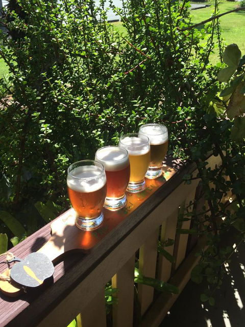 The Bearded Dragon Boutique Hotel - Accommodation Cairns 31