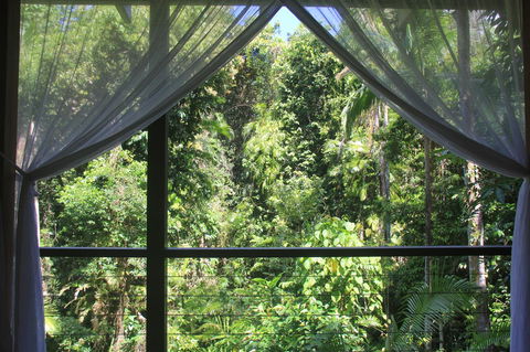 Silky Oaks Lodge - Accommodation Cairns 3