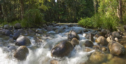 Silky Oaks Lodge - Accommodation Cairns 20