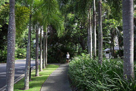 Oasis At Palm Cove - Accommodation Cairns 4