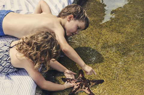 Daydream Island Resort - Accommodation Cairns 33