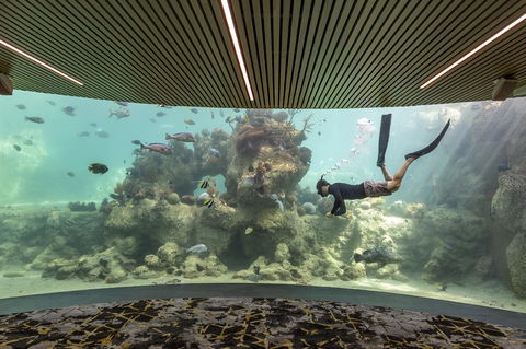 Daydream Island Resort - Accommodation Cairns 28