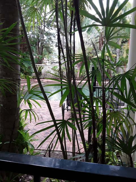 Jackies Holiday Apartment - Accommodation Cairns 13