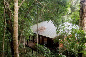 Cairns Rainforest Retreat with Accommodation Cairns