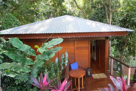 Cairns Rainforest Retreat - Accommodation Cairns 5