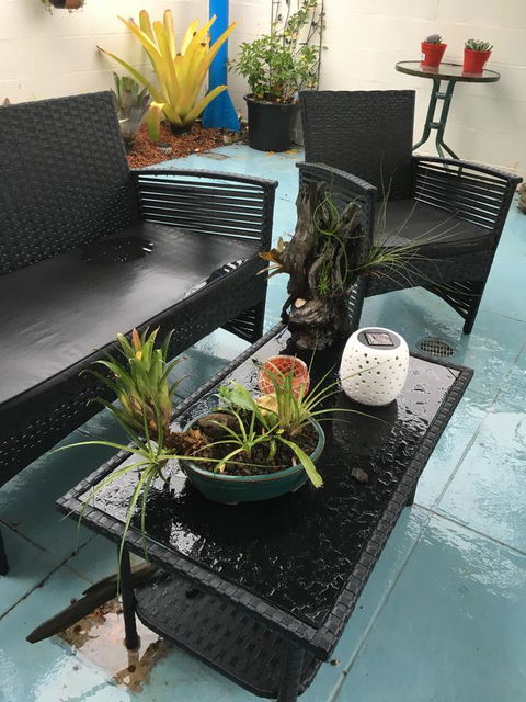 Black Marlin Motel - Accommodation Cairns 3