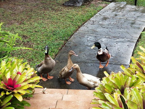 Waterfront Theme Park Getaway - Accommodation Cairns 25