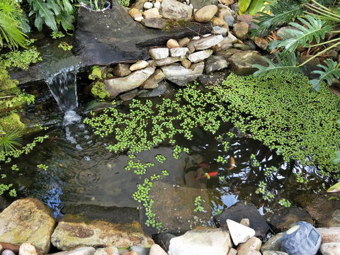 Waterfront Theme Park Getaway - Accommodation Cairns 26