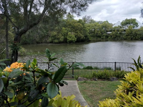 Waterfront Theme Park Getaway - Accommodation Cairns 23