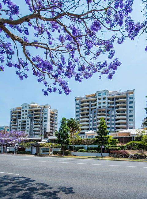 The Oasis Apartments - Accommodation Cairns 2