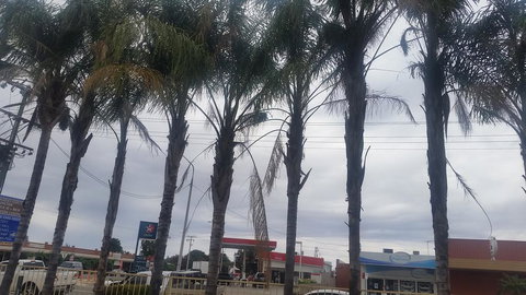 Wentworth Club Motel - Accommodation Cairns 2