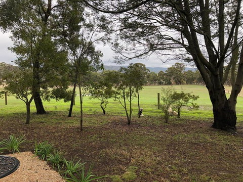 Willandra Tiny House - Accommodation Cairns 3