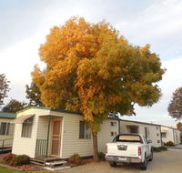 Wodonga Caravan  Cabin Park - Accommodation Cairns
