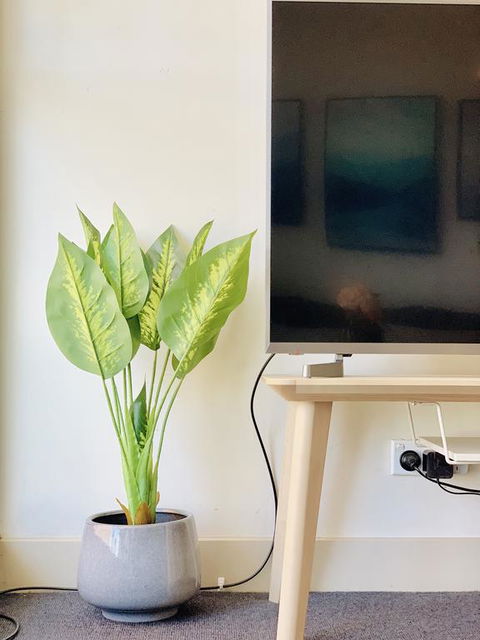 ZEN Homes On Collins - Accommodation Cairns 3