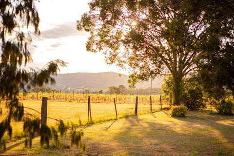 Among The Vines - Accommodation Cairns 2