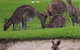 B & B On The Water - thumb 3