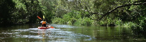 Absolute Waterfront - Accommodation Cairns 33