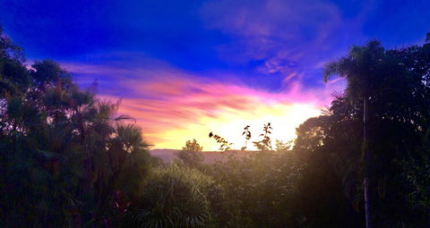 Daintree Manor B&B - Accommodation Cairns 3