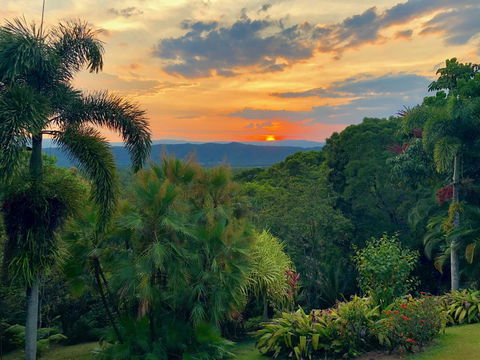 Daintree Manor B&B - Accommodation Cairns 13